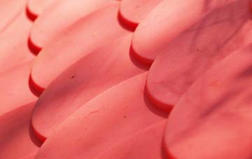 Mustard Hyrn plastic roof costs